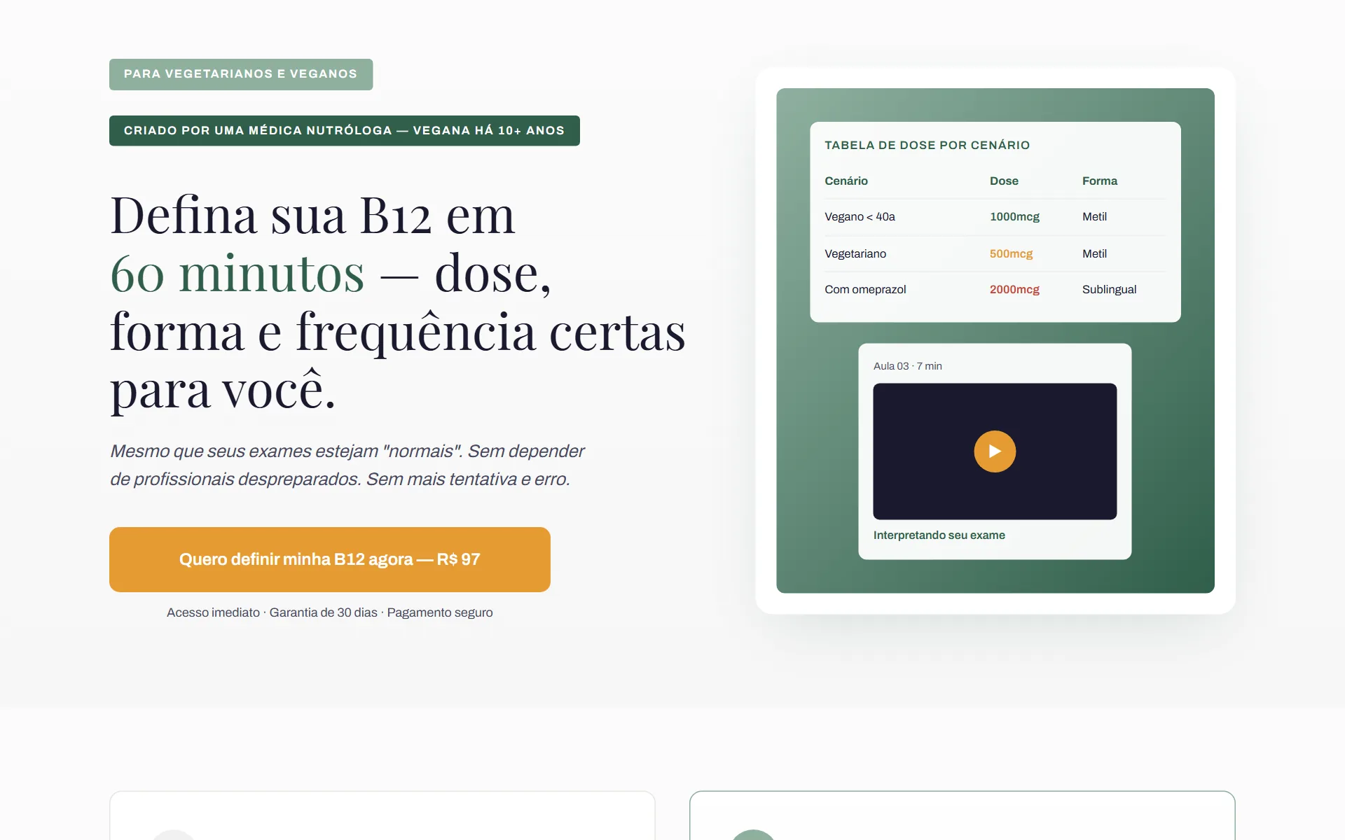 Primeira dobra da página Guia de Suplementação B12 em tela de computador